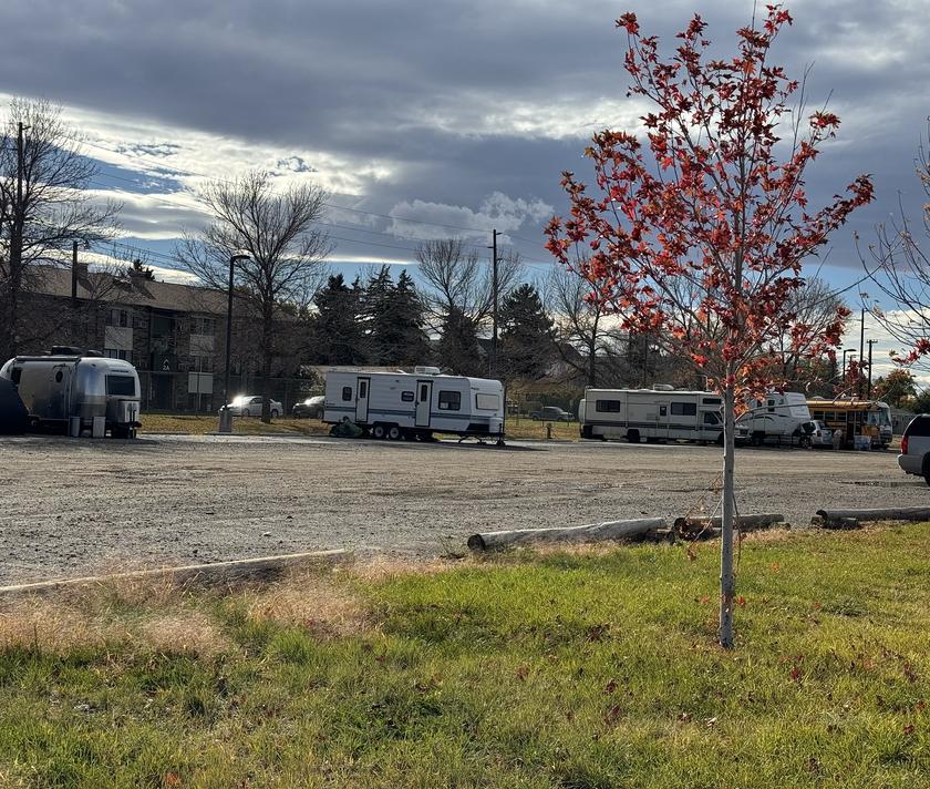 RVs parked side by side under some trees