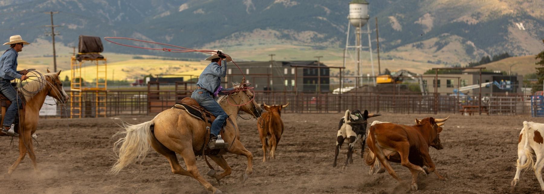 Rodeo